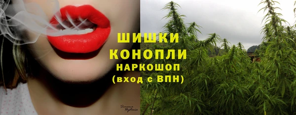 каннабис Аркадак