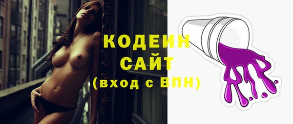 ПСИЛОЦИБИНОВЫЕ ГРИБЫ Арсеньев