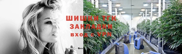 ПСИЛОЦИБИНОВЫЕ ГРИБЫ Арсеньев